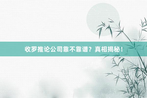 收罗推论公司靠不靠谱？真相揭秘！